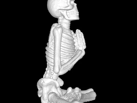 Yoga-skeleton 3D Print Model