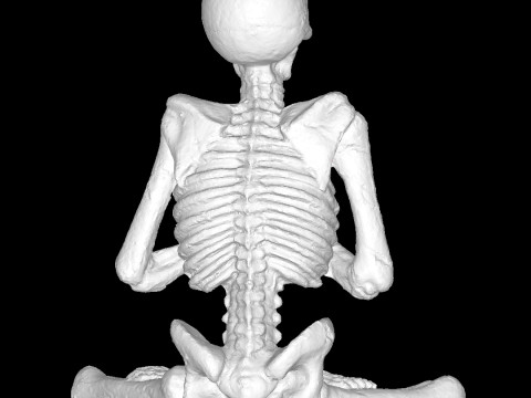 Yoga-skeleton Model Cetak 3D