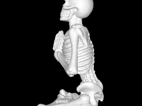 Yoga-skeleton Model Cetak 3D