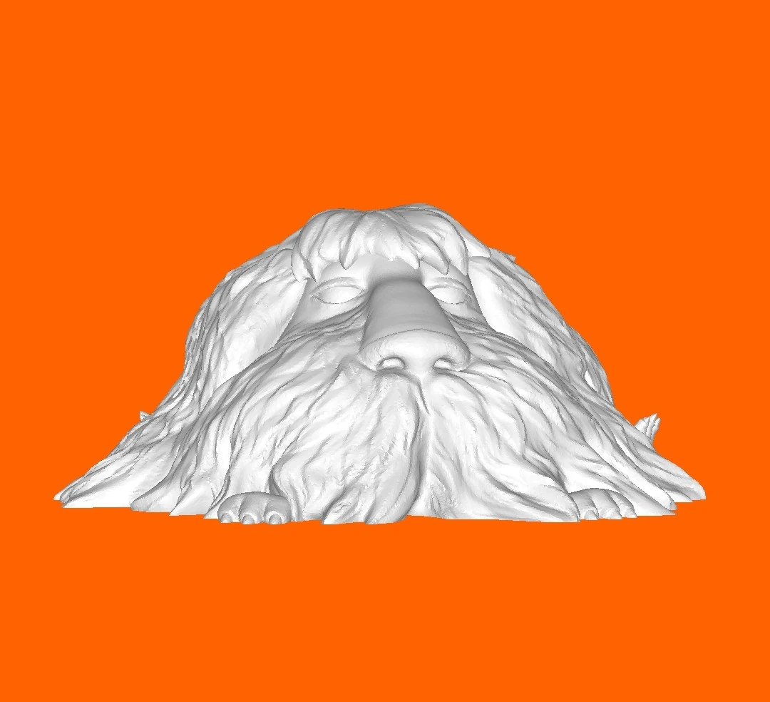 Shaggy dog 3D Print Model .c4d .max .obj .3ds .fbx .stl .blend