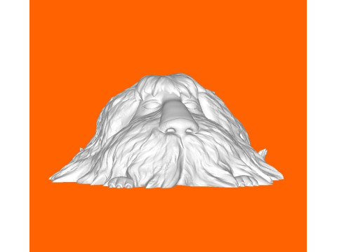 Shaggy dog Modelo de impresión 3D