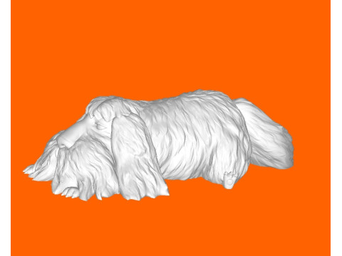 Shaggy dog 3Dプリントモデル
