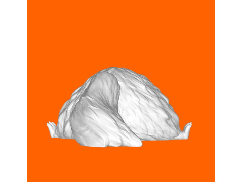 Shaggy dog 3Dプリントモデル