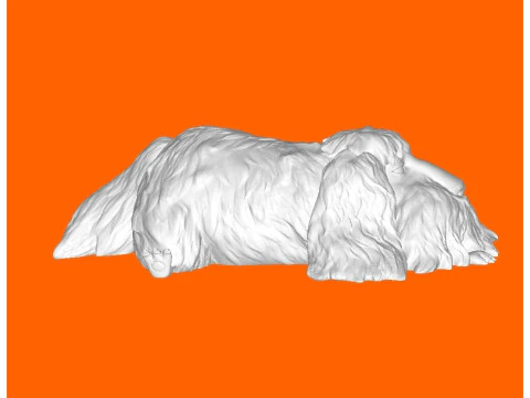 Shaggy dog 3D Print Model