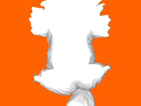 Shaggy dog 3Dプリントモデル