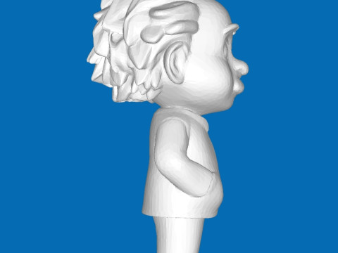 Albert Einstein 3Dプリントモデル