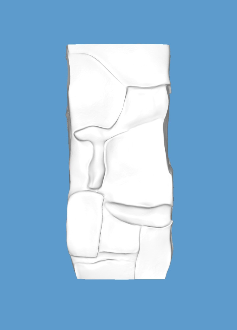 Vase 3D Print Model .c4d .max .obj .3ds .fbx .stl .blend 