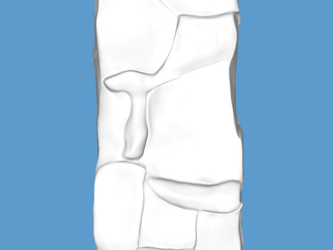Vase 3D Print Model