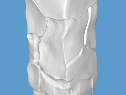 Vase 3D Print Model