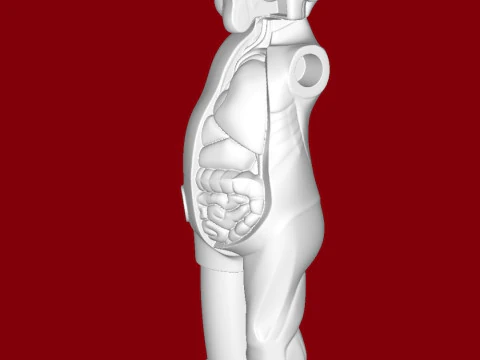 KAWS FLAYED OPEN COMPANION 3D Print Model