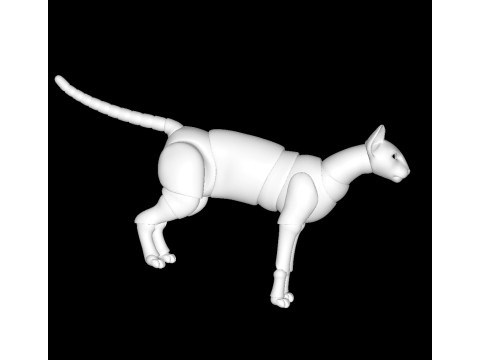 Oriental-cat-bjd 3D 프린트 모델