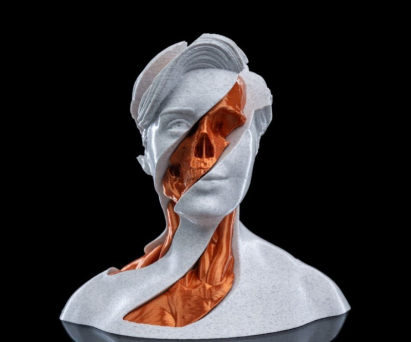 Anatomy Model Cetak 3D .c4d .max .obj .3ds .fbx .stl .blend 