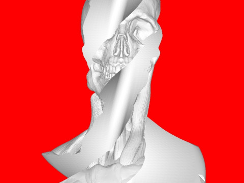 Anatomy Model Cetak 3D