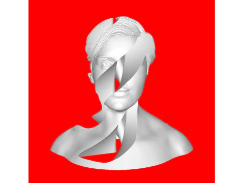 Anatomy 3D Print Model