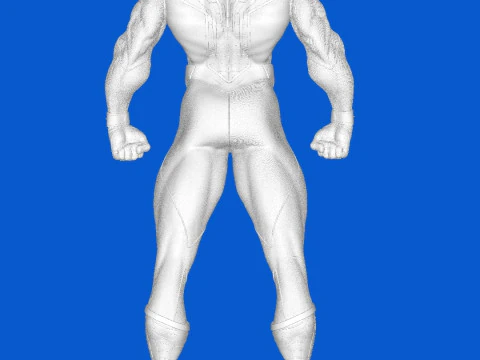 Spiderman 3D Print Model