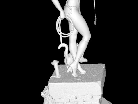 Kattenvrouw 3D printmodel