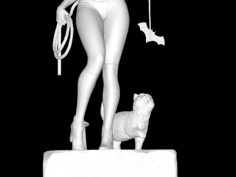 Catwoman 3D Print Model
