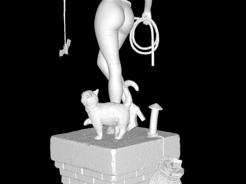 Catwoman 3D Print Model