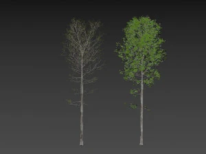 villa Sunnano Modello 3D