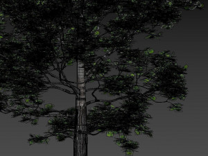 villa sunnano 3D Model