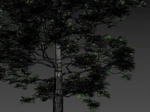 villa Sunnano Modello 3D