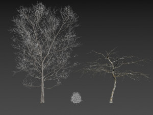 winter cabin house Model 3D