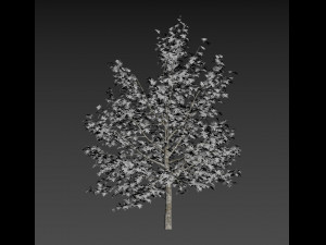 winter cabin house Model 3D