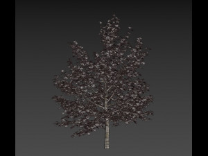 winter cabin house Model 3D
