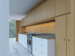 farnsworth house Modelo 3D