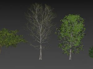 forest cabin house 3D Model