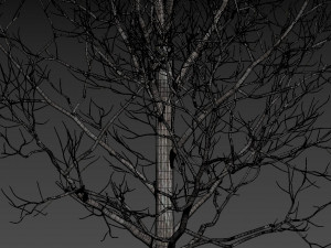 forest cabin house Modelo 3D