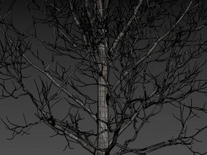 forest cabin house 3D Model