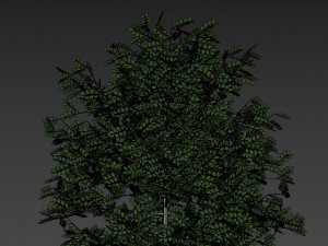 forest cabin house Modelo 3D