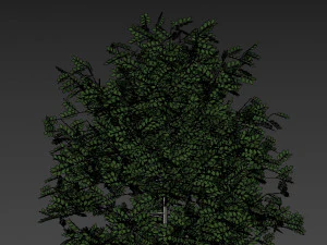 forest cabin house 3D Model