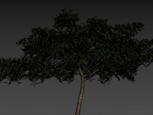 forest cabin house Modelo 3D
