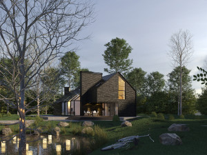 black house blues 3D 模型
