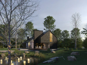 black house blues 3D Model
