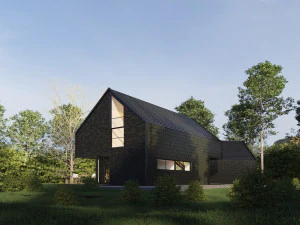 black house blues 3D Model