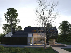 black house blues 3D Model
