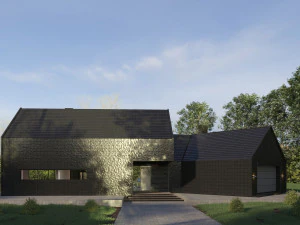 black house blues 3D Model