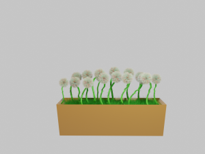 flowers in a pot 3D Модель