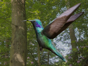 bird 3D Model