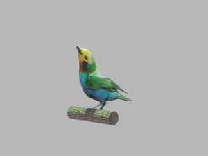 bird 3D 모델