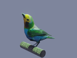 bird 3D 모델