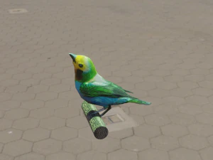 uccello Modello 3D