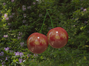 cherry 3D Модель