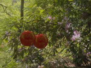 cherry 3D Модель