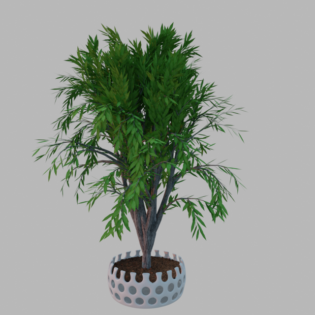tree in a pot 3D Model .c4d .max .obj .3ds .fbx .stl .blend 