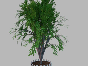 &aacute;rbol en una maceta Modelo 3D