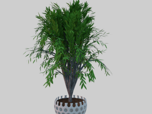 tree in a pot 3D Model